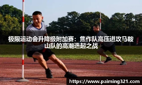 球速体育平台登录入口