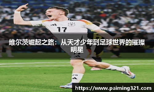 球速体育平台登录入口